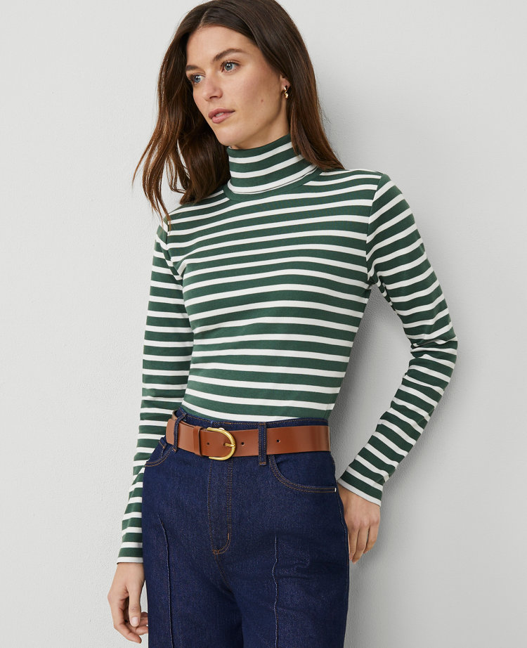 Petite Striped Turtleneck Top