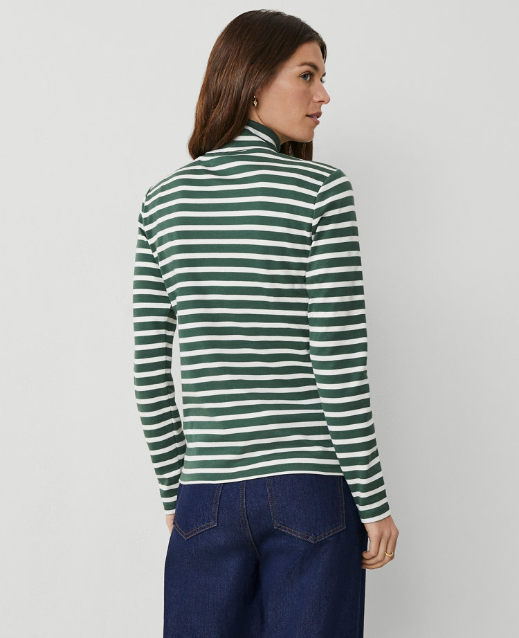 Petite Striped Turtleneck Top