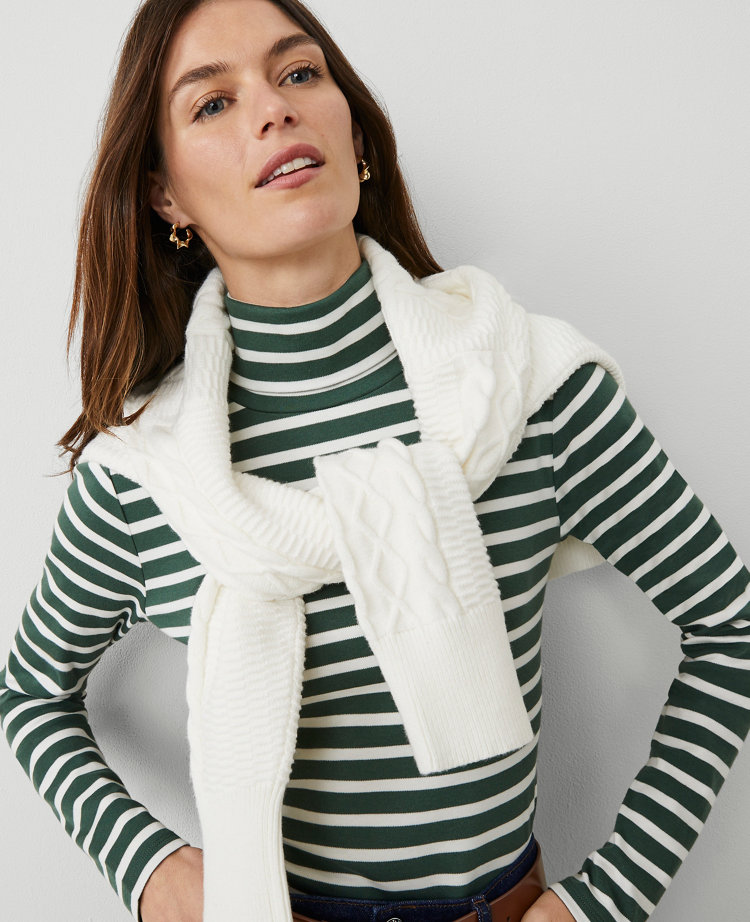 Petite Striped Turtleneck Top