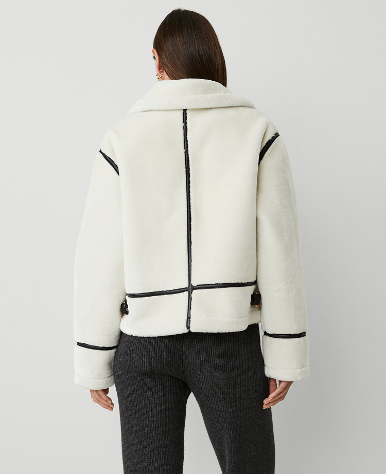 Petite Zip Front Shearling Collar Moto Jacket