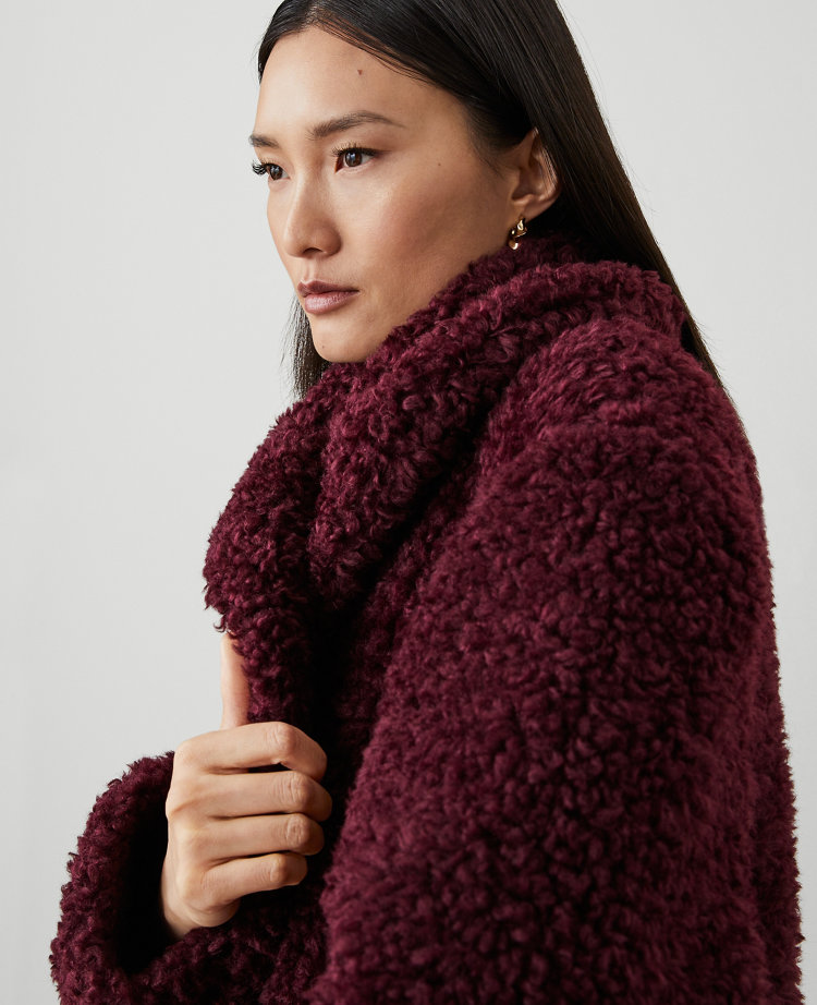 Petite Shawl Collar Faux Fur Teddy Coat