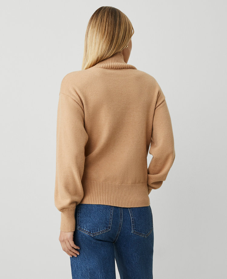 Turtleneck Wedge Sweater
