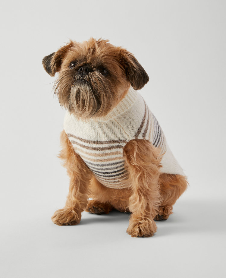 Striped Dog Sweater