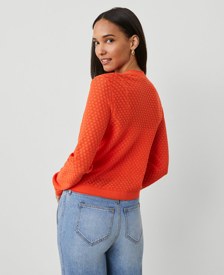 Pointelle Cardigan