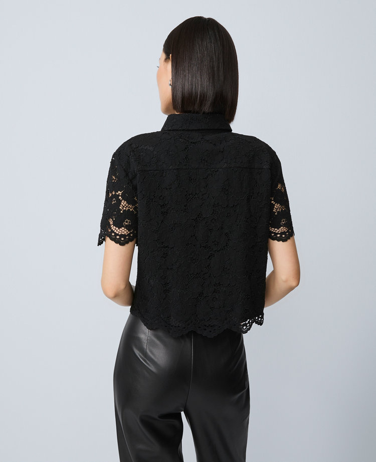 Ann Taylor Lace Modern Blouse In Black