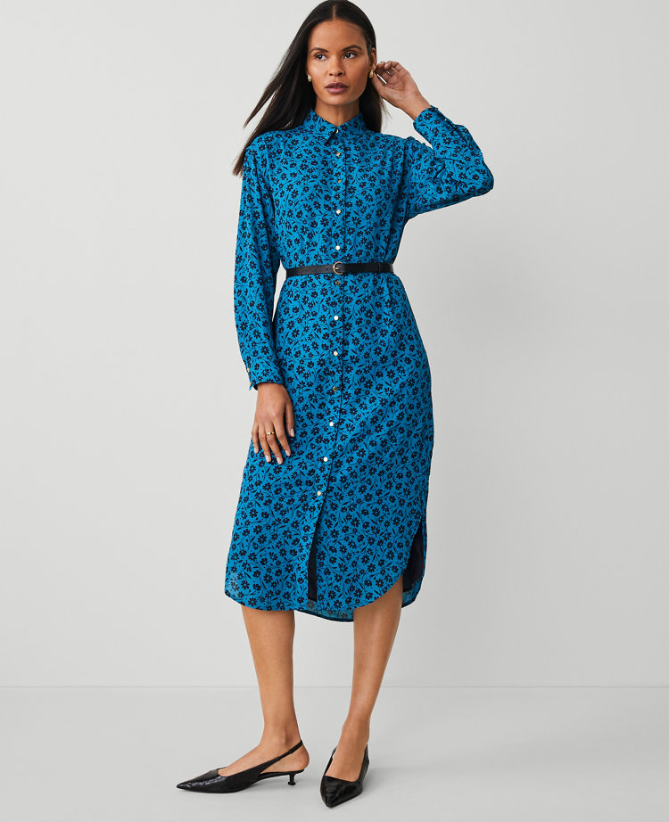 14 petite dresses best sale