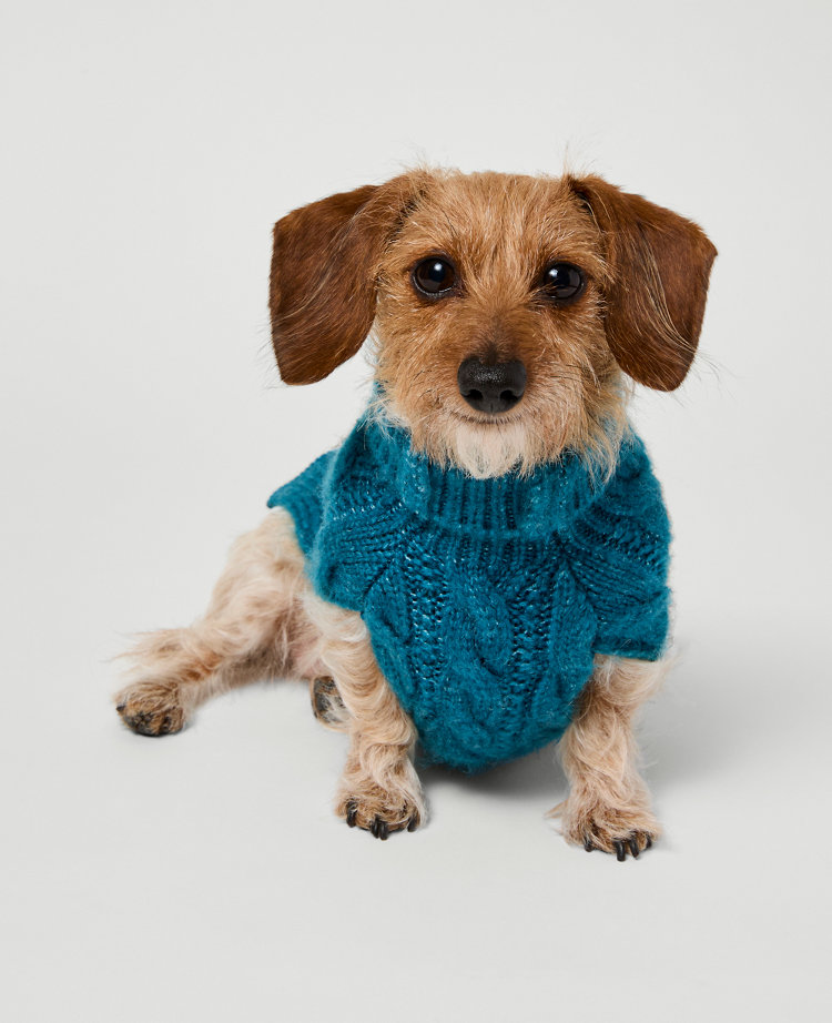 Weekend Collection Cable Dog Sweater