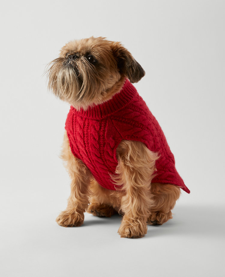 Cable Dog Sweater