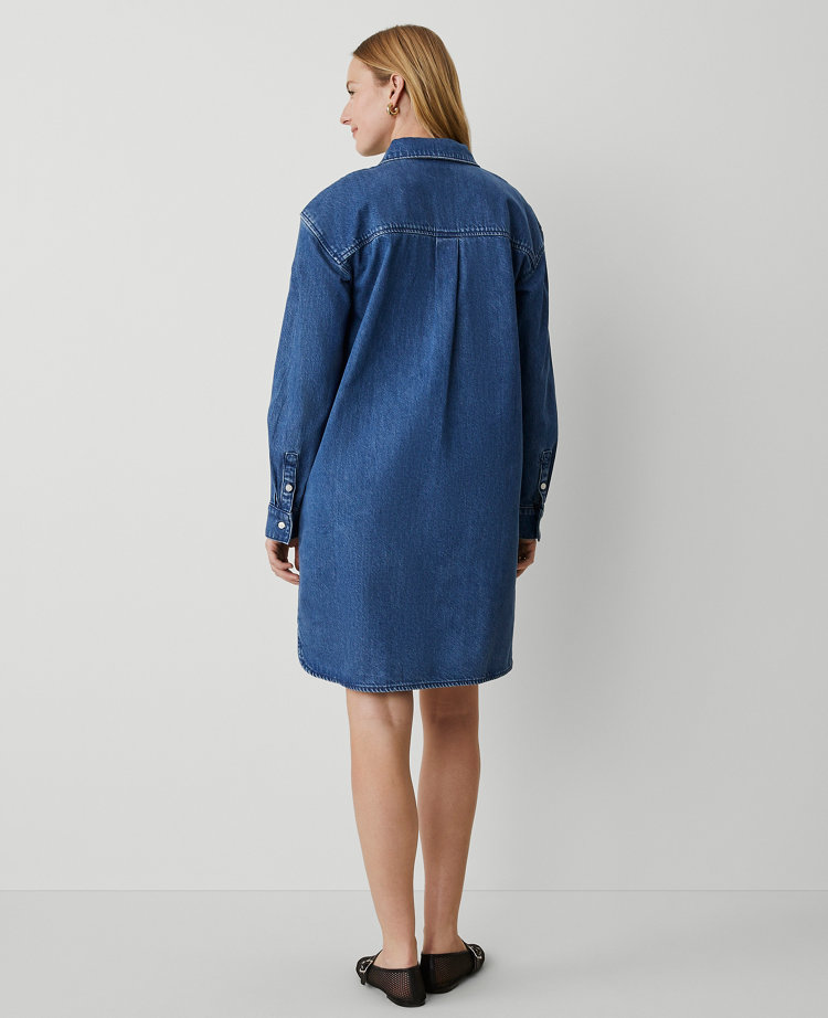 Petite Denim Shirtdress
