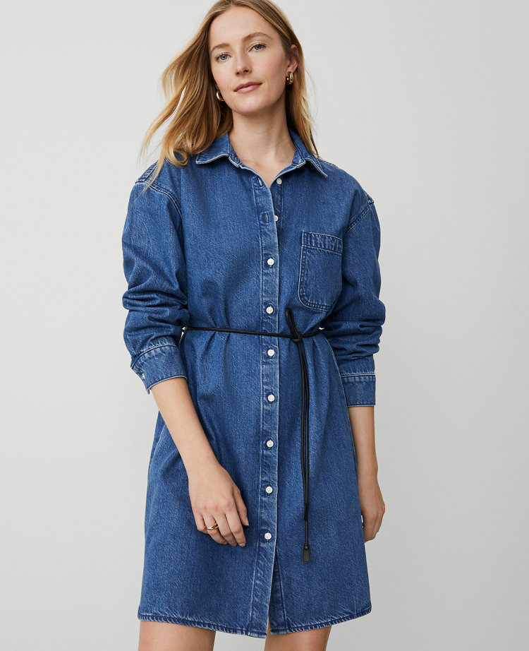 Petite Denim Shirtdress