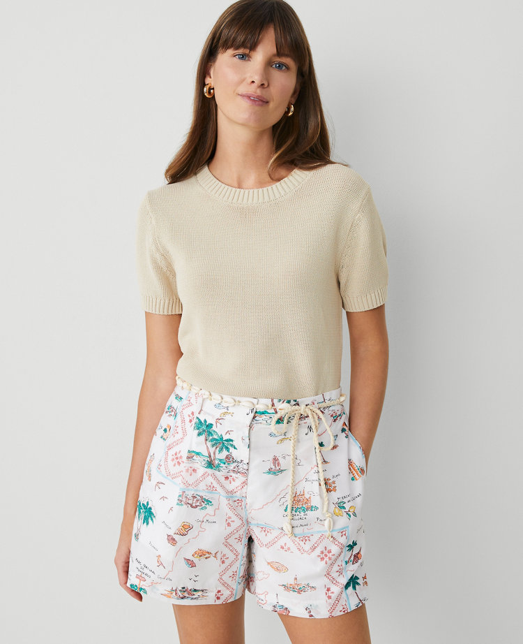 Ann Taylor Modern Sweater Tee In Sands Edge