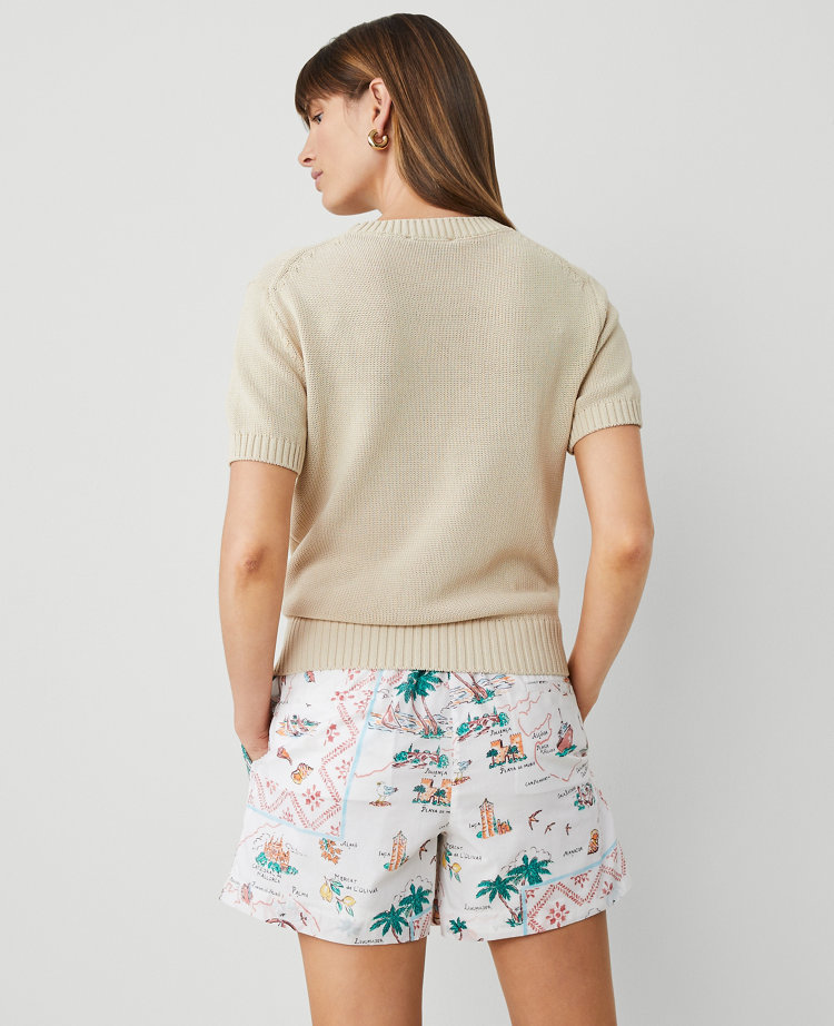 Ann Taylor Modern Sweater Tee In Sands Edge
