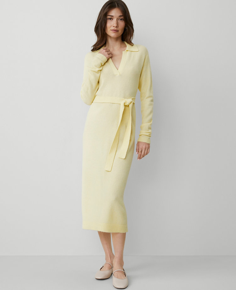 Weekend Collection Collared Sweater Dress