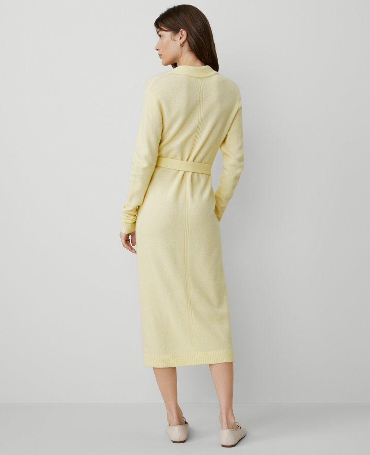Weekend Collection Collared Sweater Dress