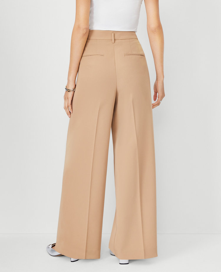 The Pleated Wide Leg Pant