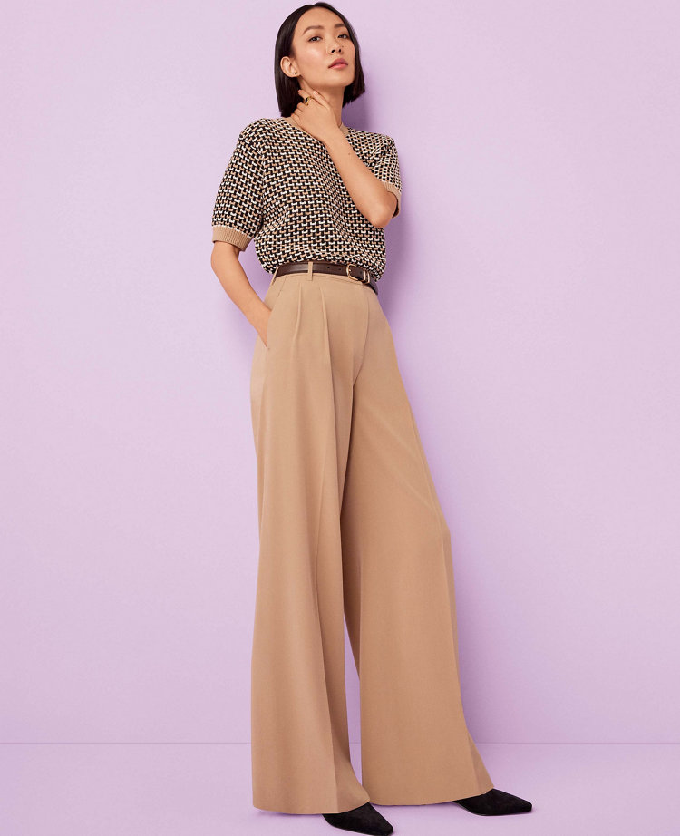 The Pleated Wide Leg Pant