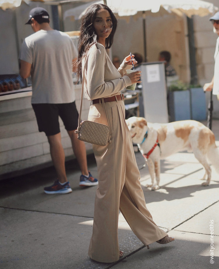 The Pleated Wide Leg Pant