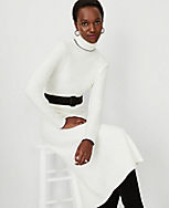 Tipped Belted Turtleneck Sweater Dress carousel Product Image 1