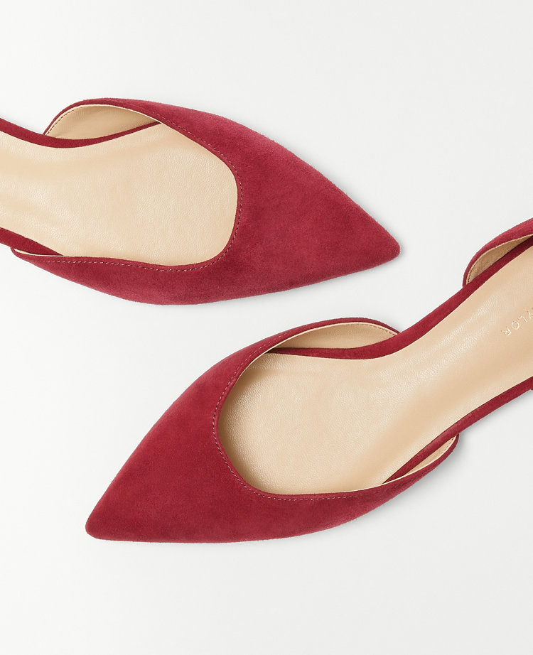 Ankle Strap Pointy Toe Suede Flats