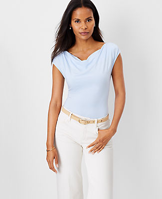 Ann Taylor Draped Cowl Neck Top In Cafe Blue