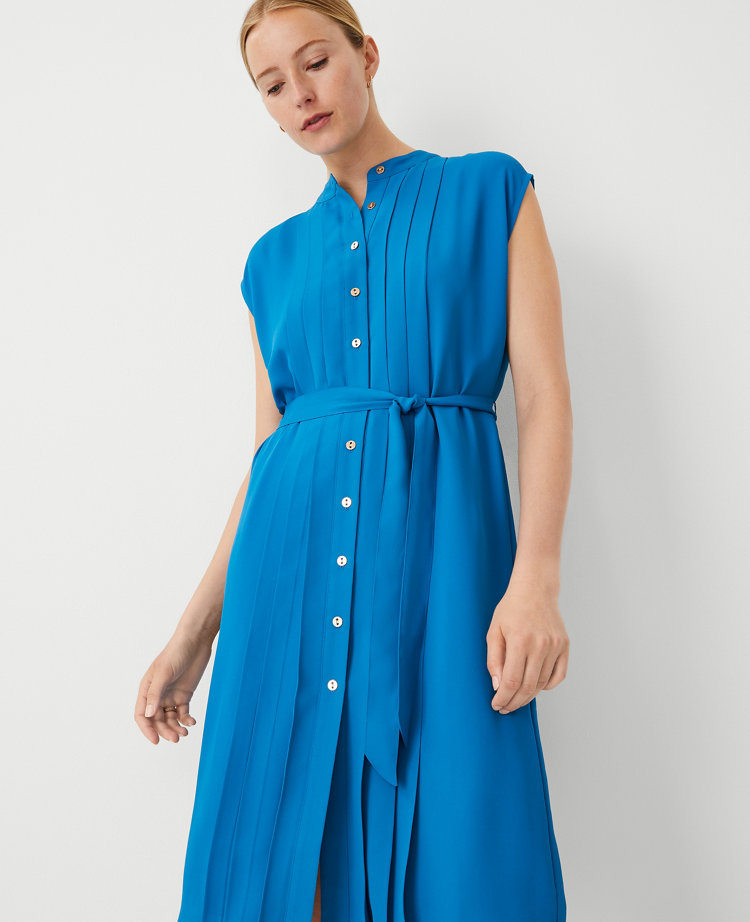 Pleated Belted Dress