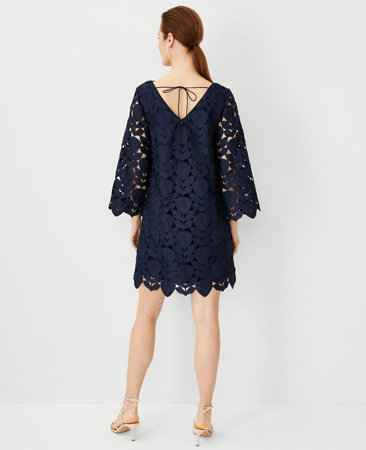 Studio Collection Lace Boatneck Shift Dress