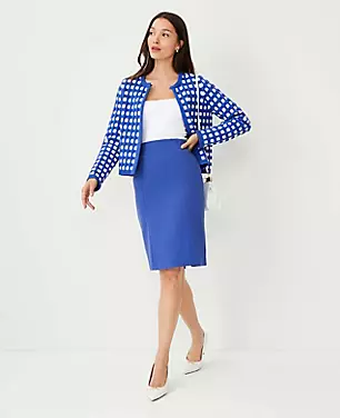 Ottoman Seamed Pull On Pencil Skirt carousel Product Image 1