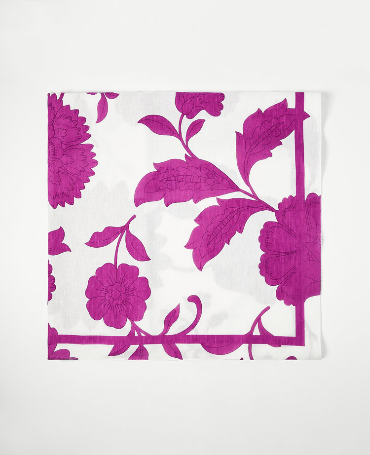 Cat Print Scarf - Black