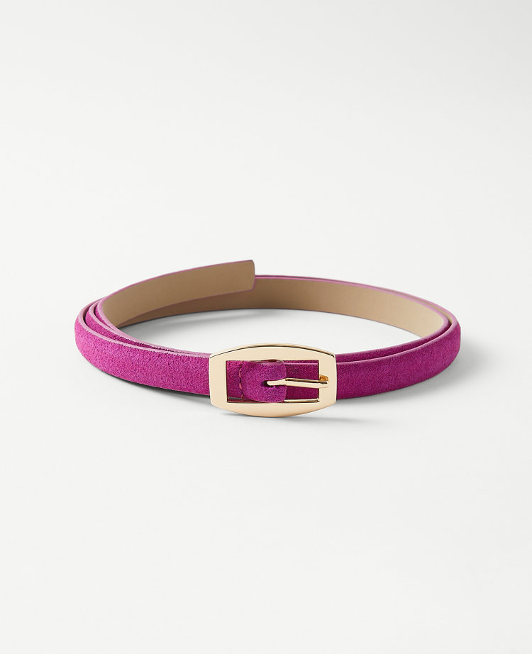 Ann Taylor Curved Rectangle Buckle Suede Belt