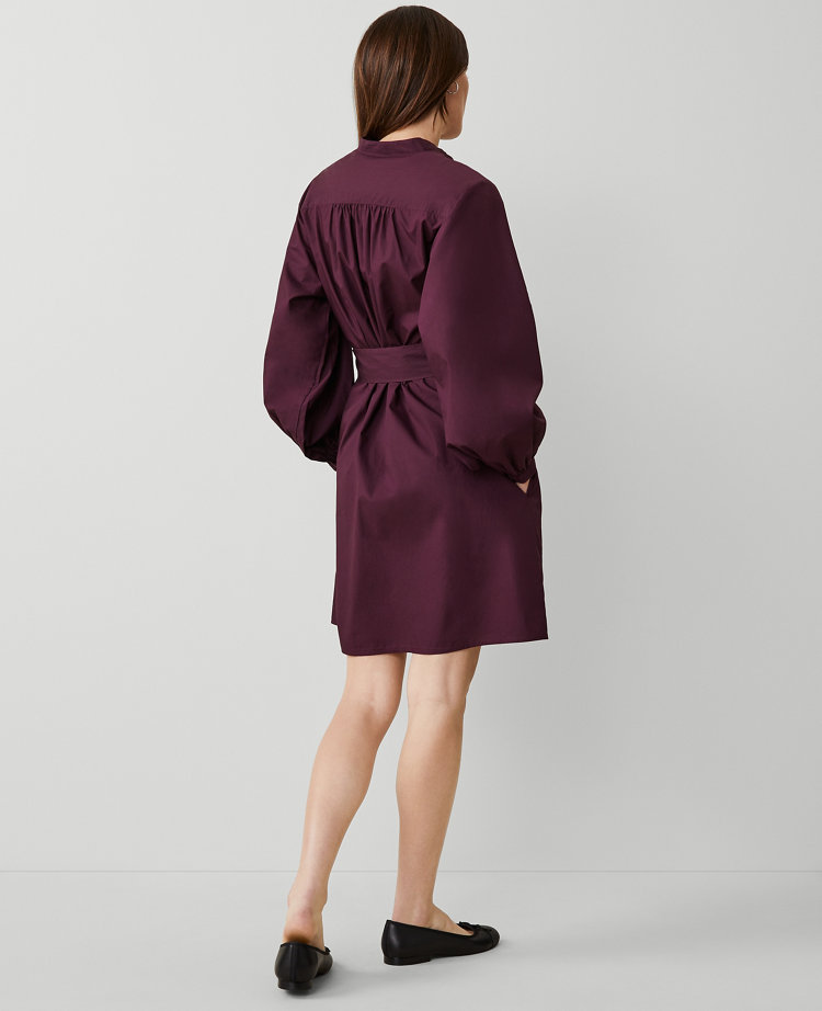 Weekend Cotton Stand Collar Shift Dress