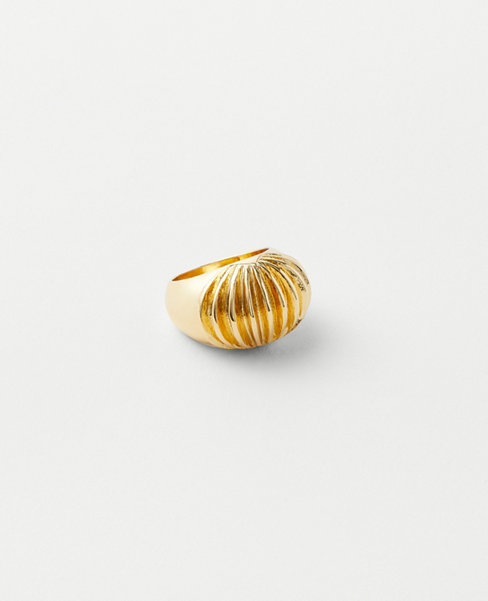 Ann Taylor Textured Dome Ring