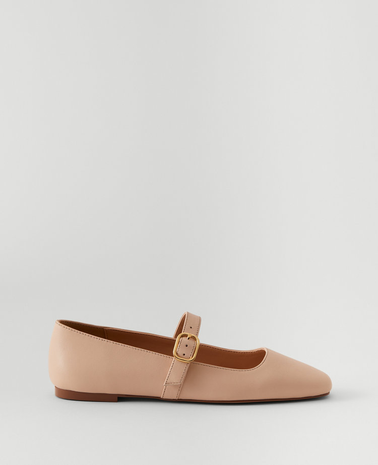 Flat Shoes for Women Ann Taylor