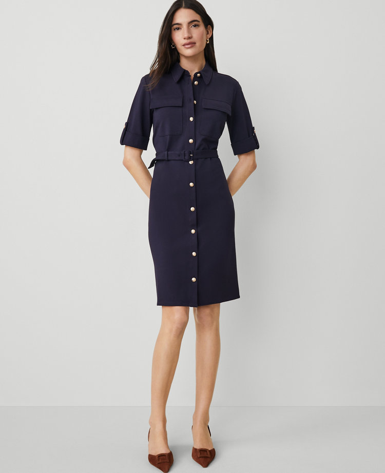 Collared Ponte Flare Dress