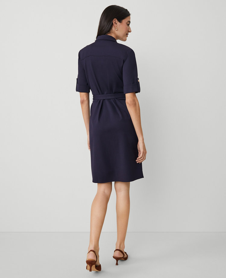 Collared Ponte Flare Dress