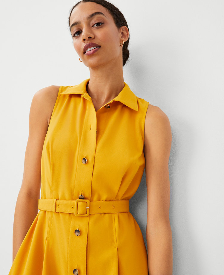 Ann Taylor Petite Shirt Collar Flare Midi Dress Spring Marigold Women's