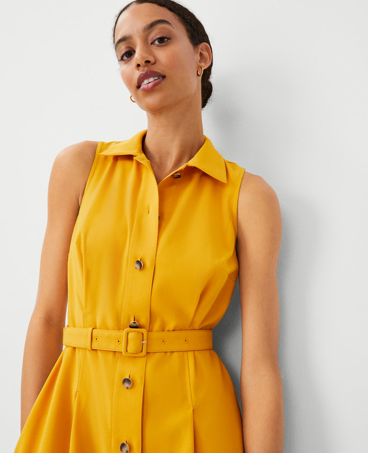 Petite Shirt Collar Flare Midi Dress