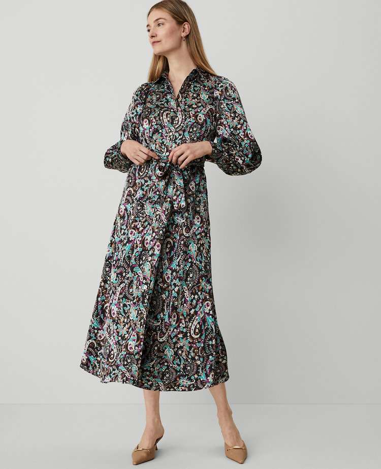 Tall Stand Collar Belted Pocket Shirtdress - Night Sky