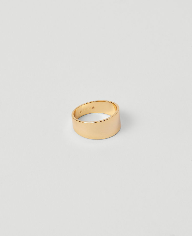 Ann Taylor Tapered Band Ring