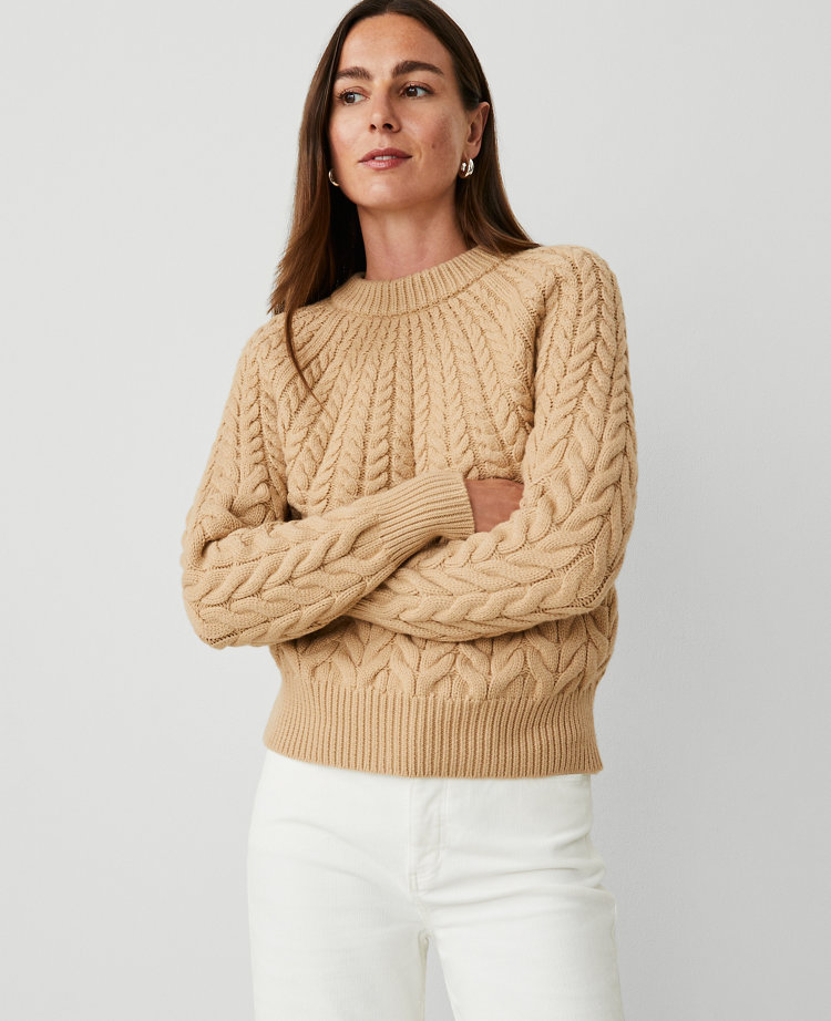 Cable Chunky Neck Sweater carousel Product Image 2