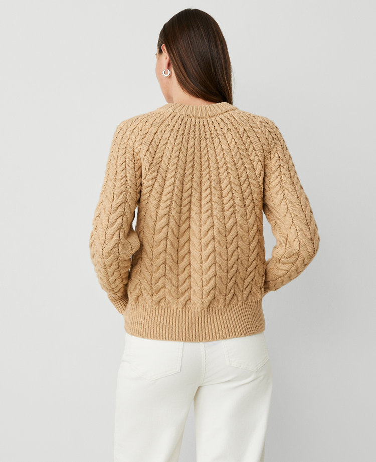 Cable Chunky Neck Sweater carousel Product Image 3