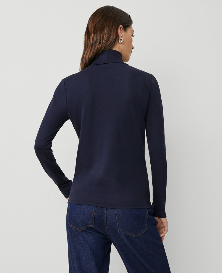 Petite Weekend Collection Turtleneck Top