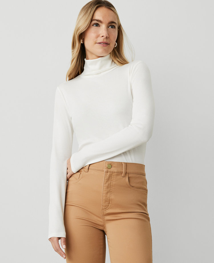 Petite Weekend Collection Turtleneck Top