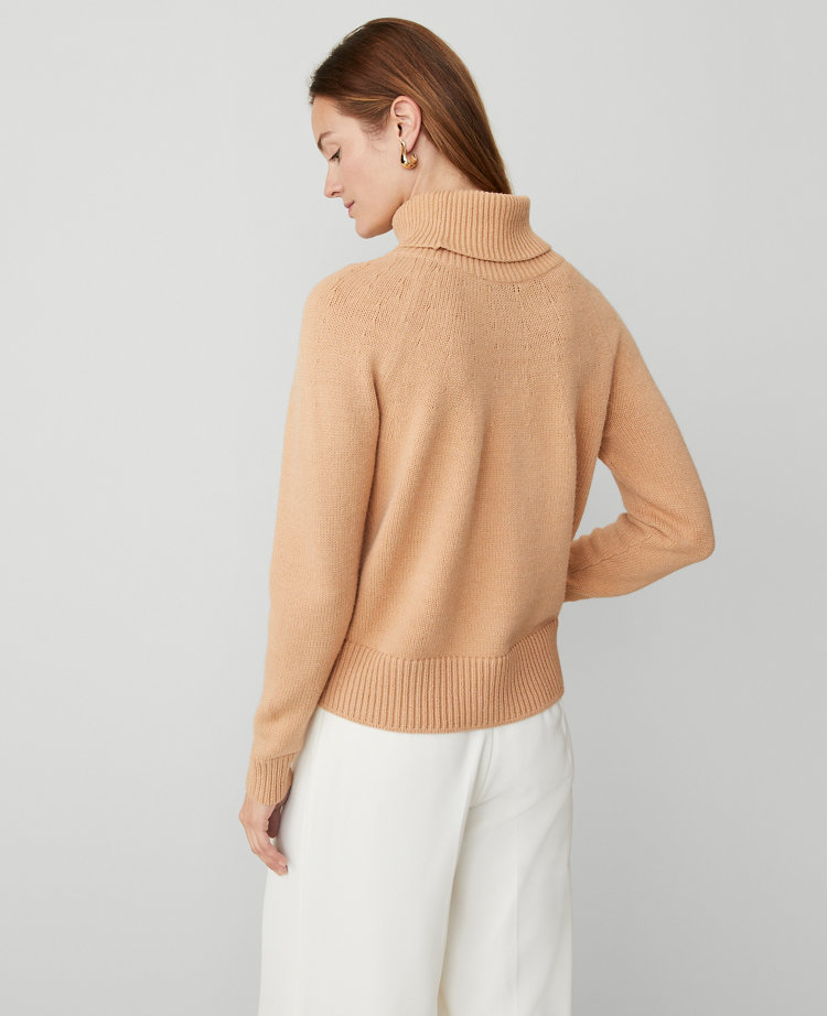 Fold Over Turtleneck Sweater