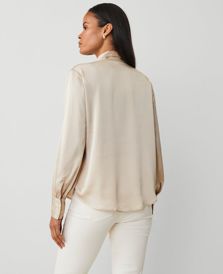 Satin Tie Neck Blouse