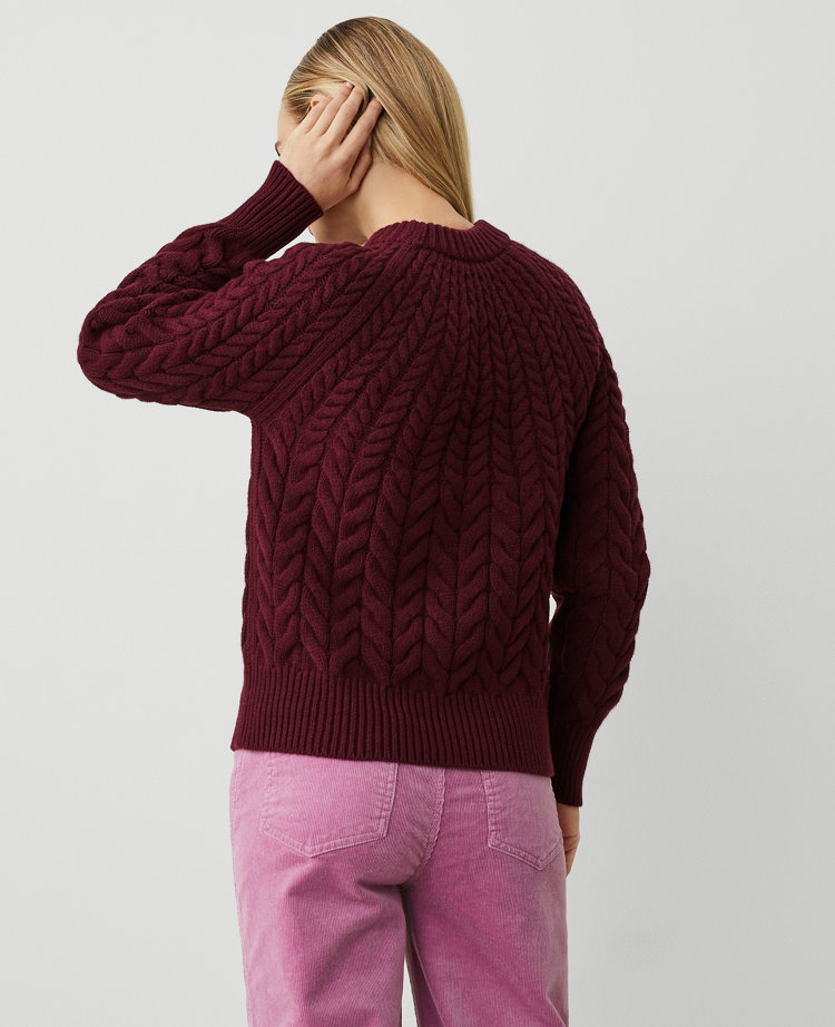 Petite Cable Chunky Neck Sweater carousel Product Image 3