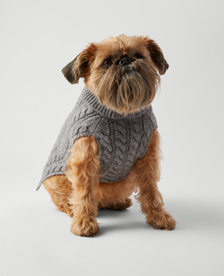 Cable Dog Sweater