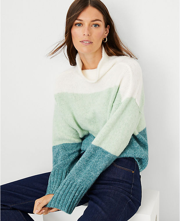 Colorblock Roll Neck Sweater