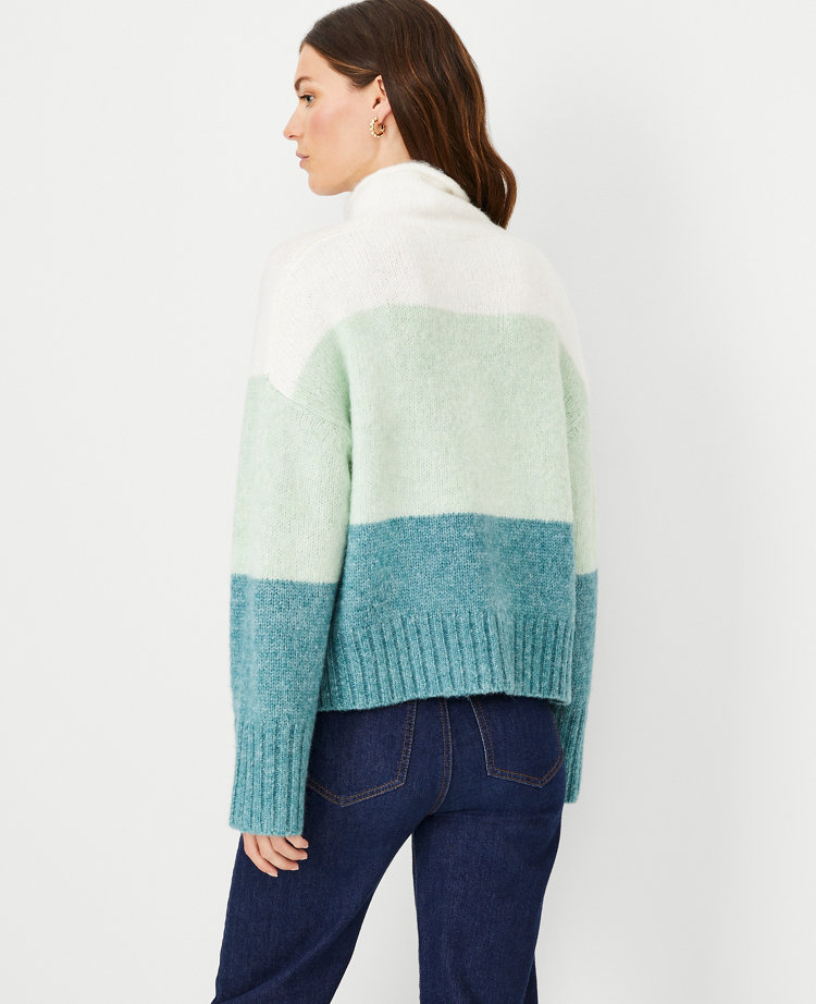 Colorblock Roll Neck Sweater