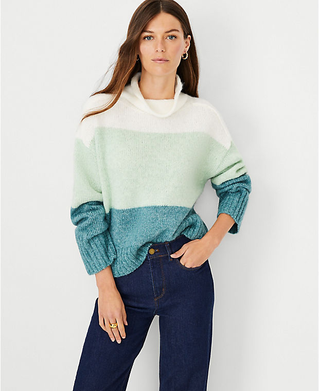 Colorblock Roll Neck Sweater