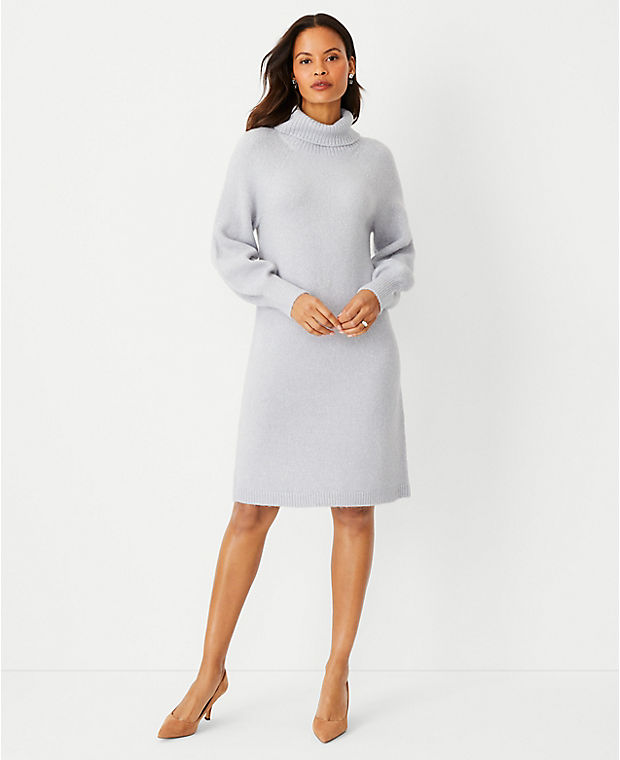 Petite Shimmer Raglan Sleeve Turtleneck Sweater Dress